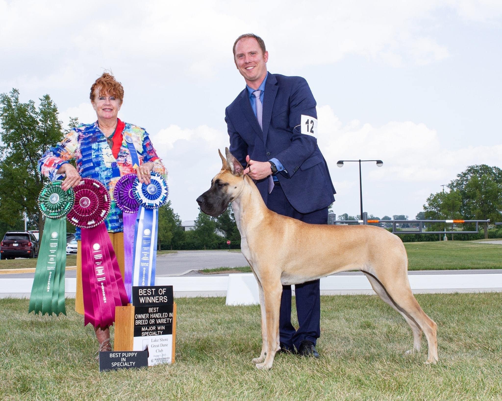 2021 Lake Shore GDC Best of Winners and Best of Breed Owner Handled