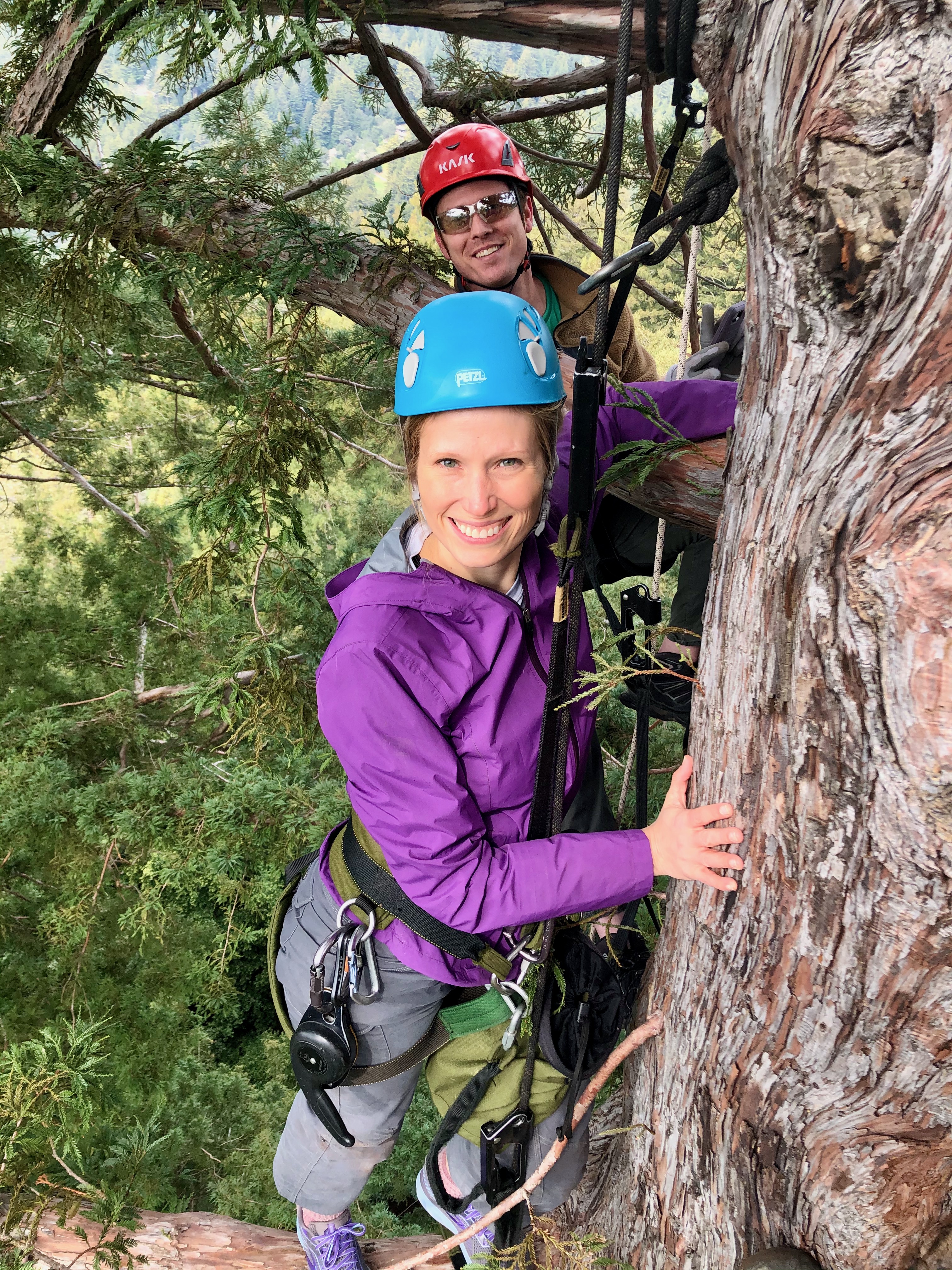 Karen climbing sequoia tree